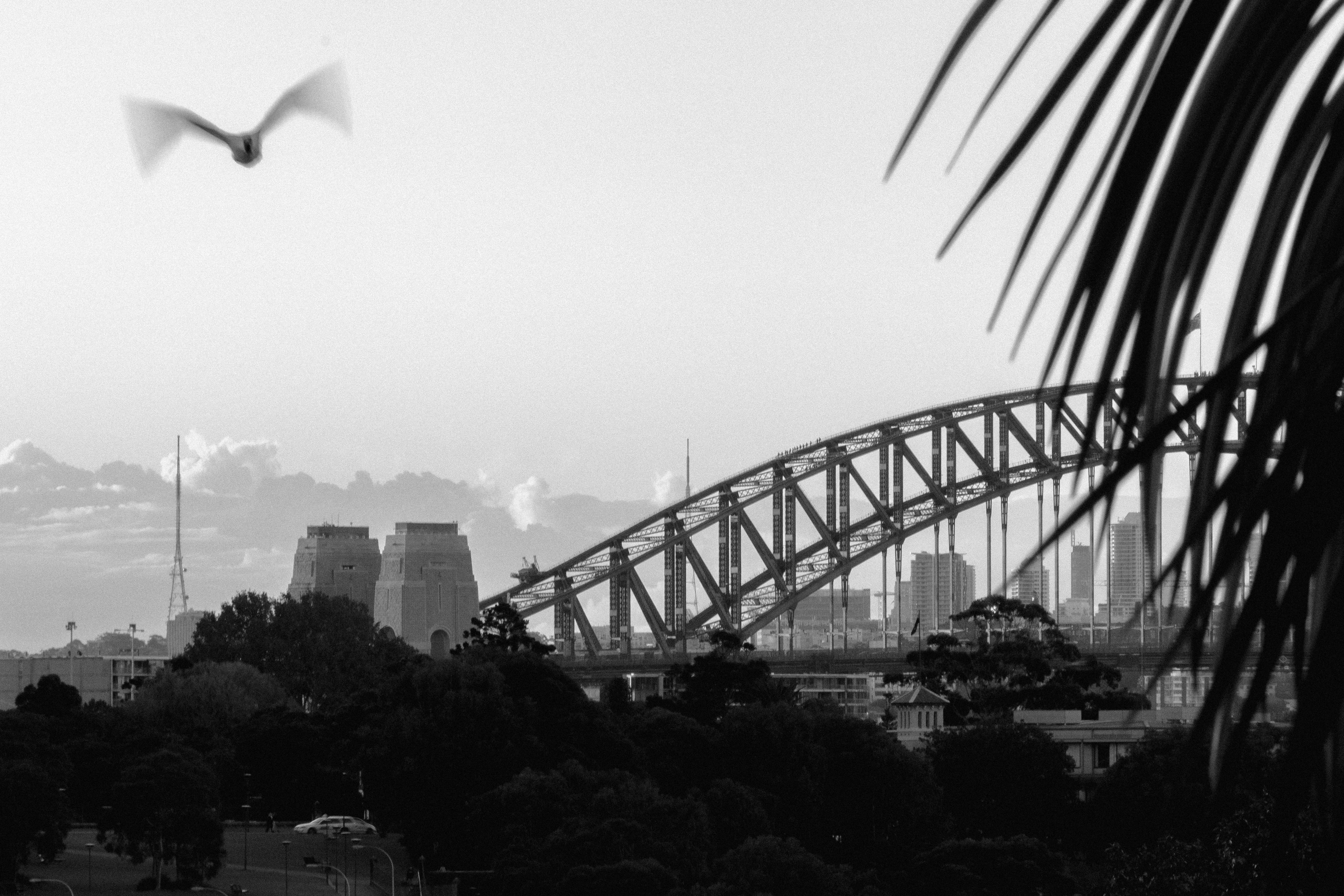 BUSINESS DEVELOPMENT & ACCOUNT MANAGER – NSW