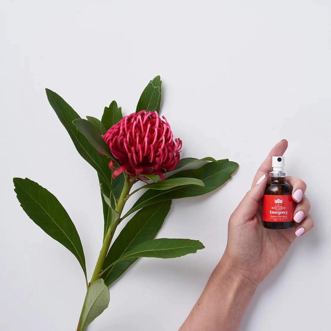 Australian Bush Flower Essences Emergency Bundle
