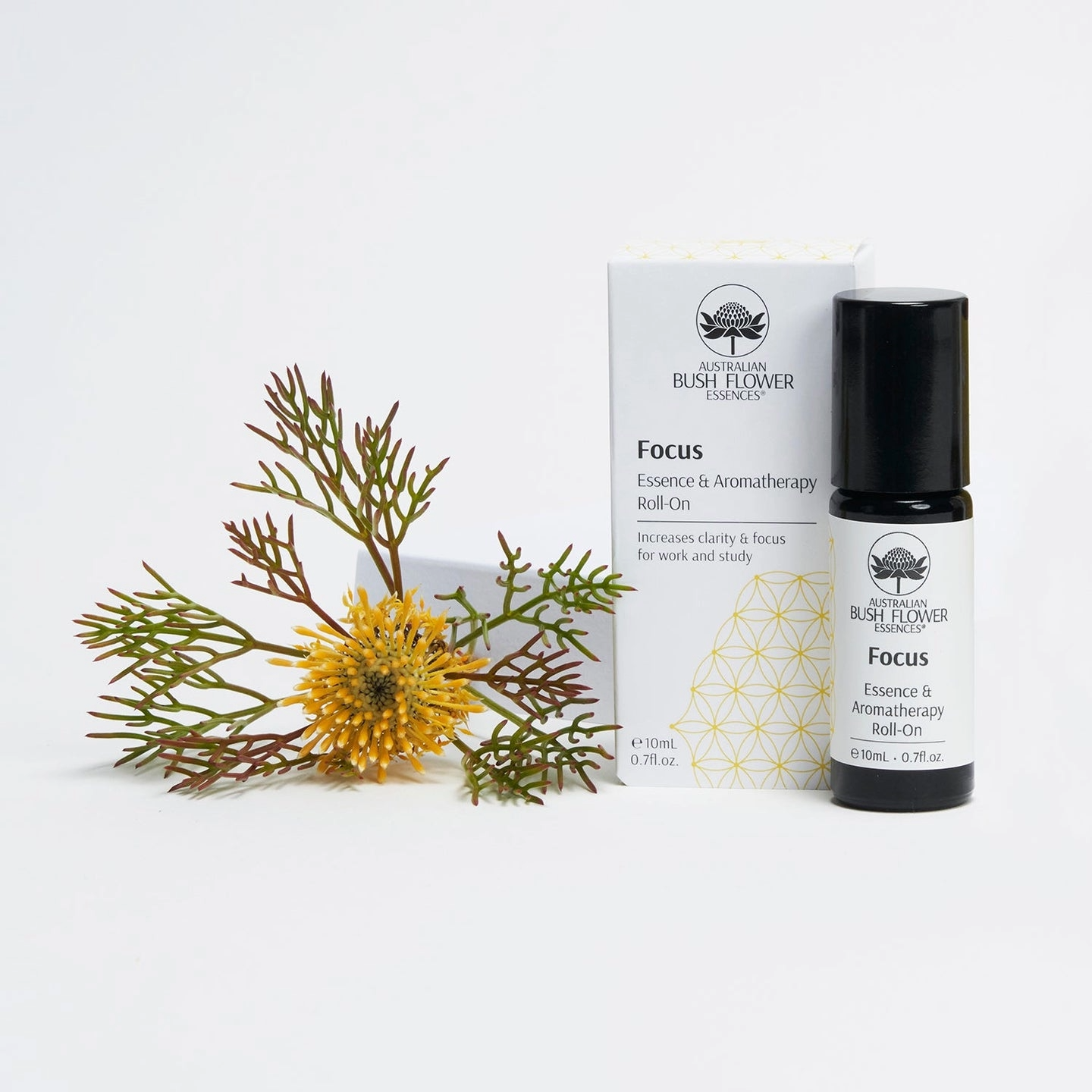 Focus Roll-On 10ml