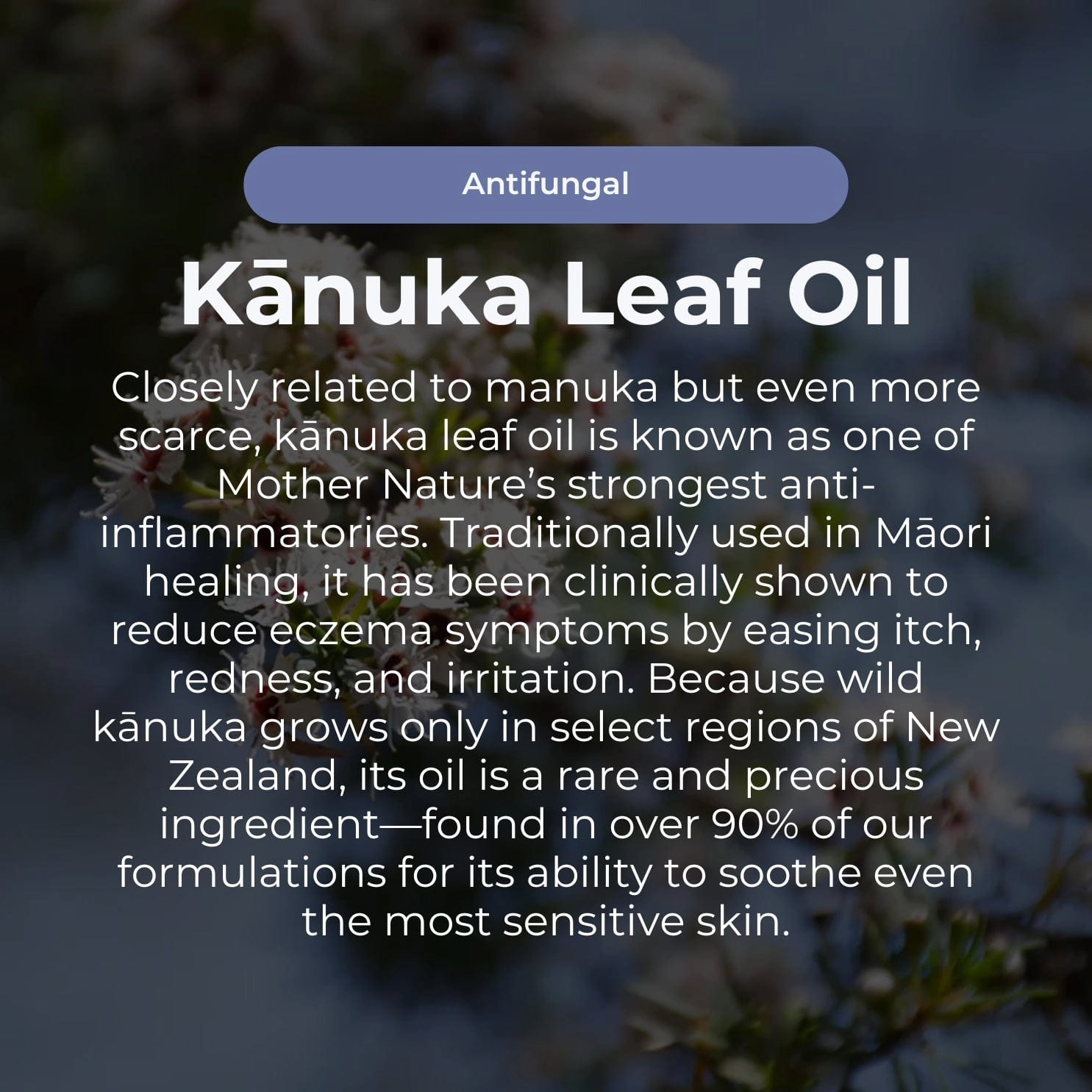 Miracle Manuka Crème