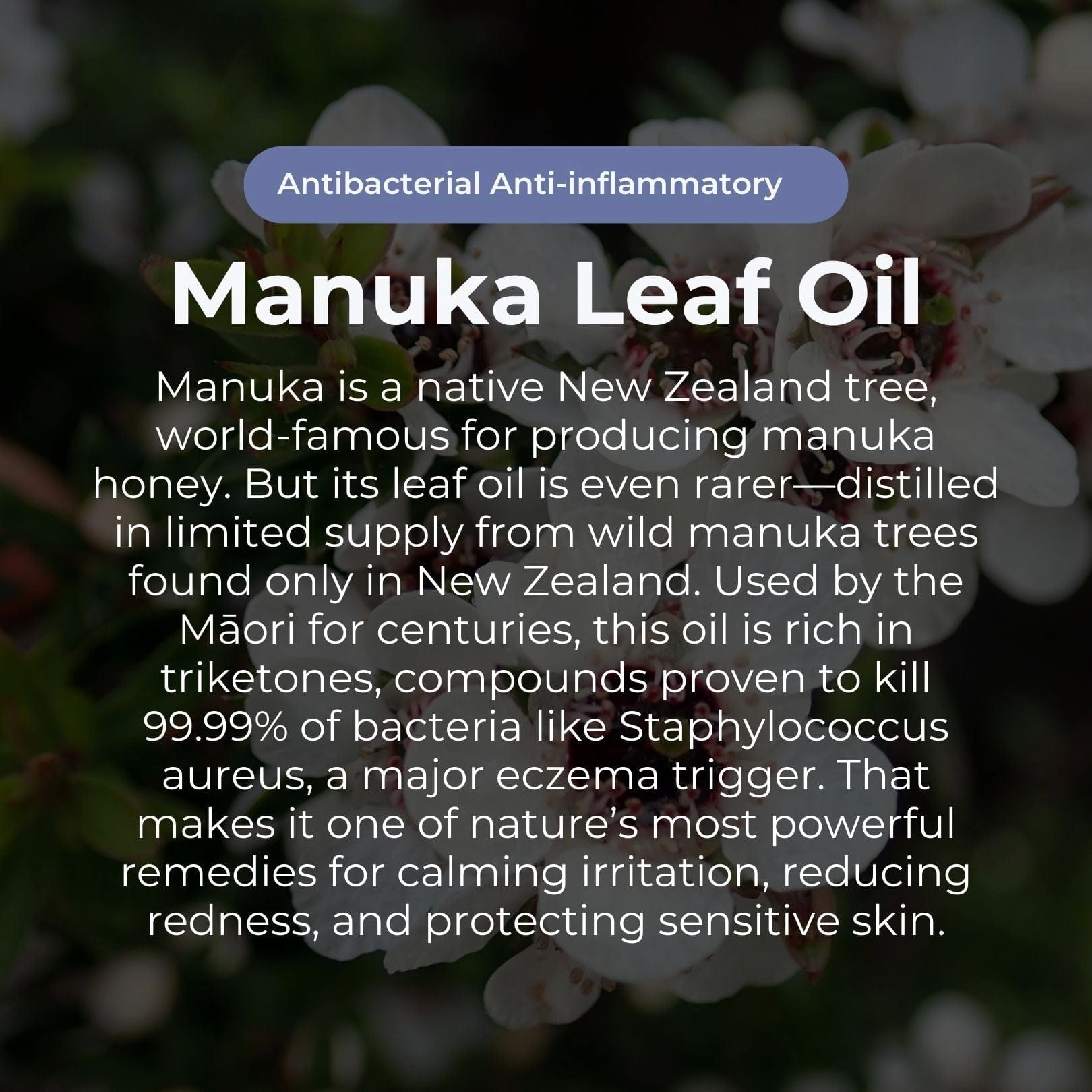Miracle Manuka Crème