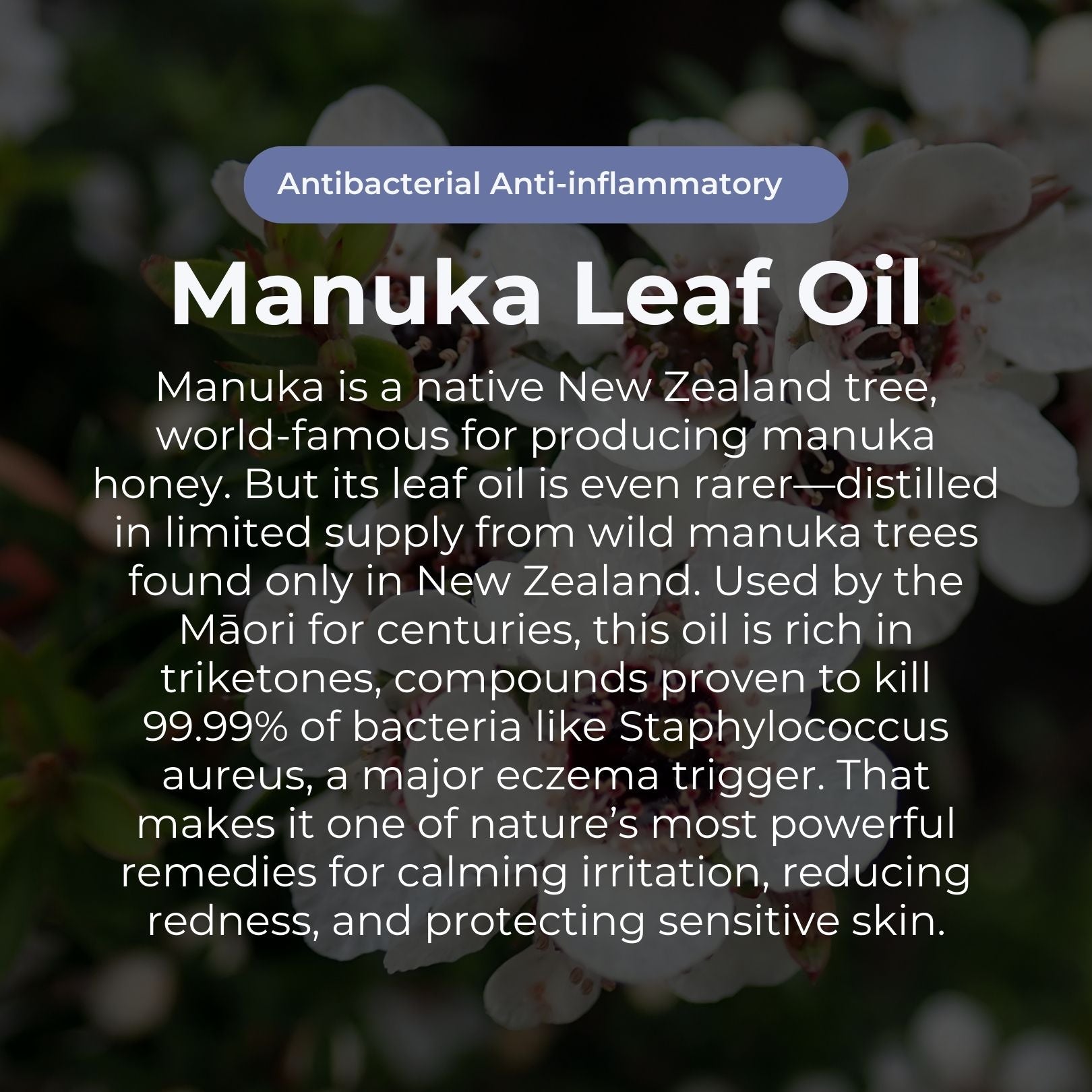 Miracle Manuka Skin Repair Ointment