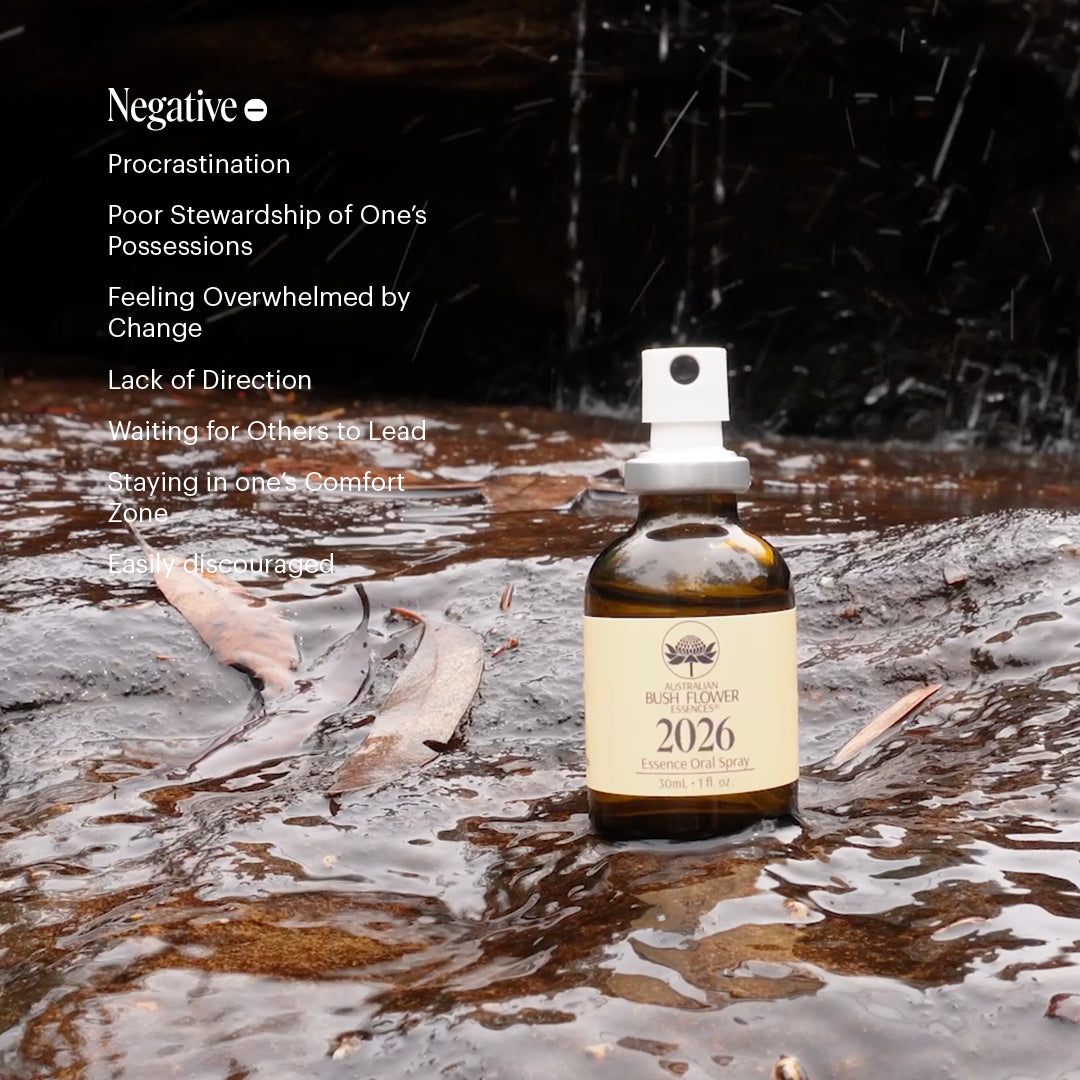 2026 Oral Spray 30ml