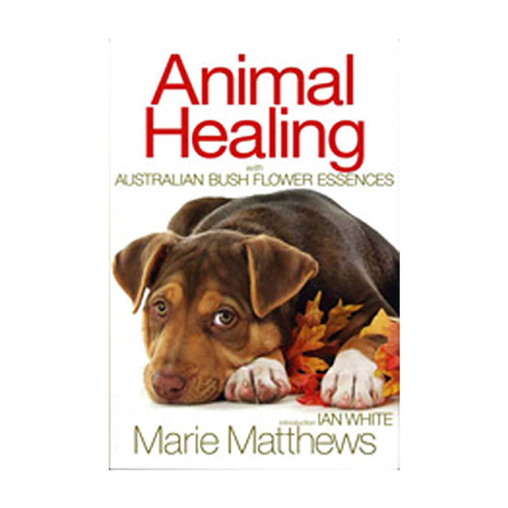 Animal Healing Book