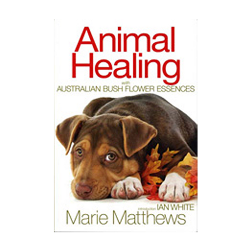 Animal Healing Book