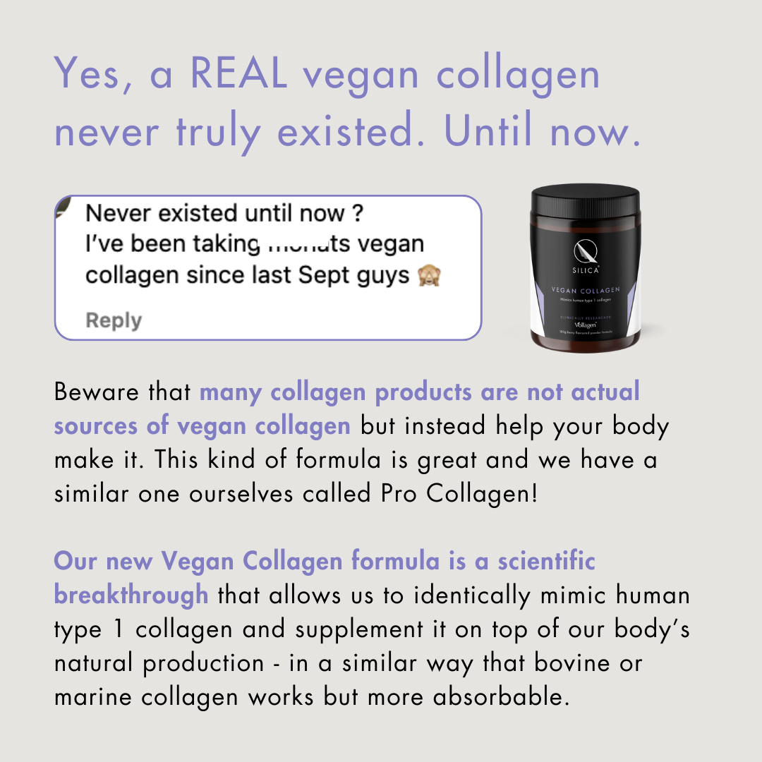 Vegan Collagen Powder 3-Month Supply