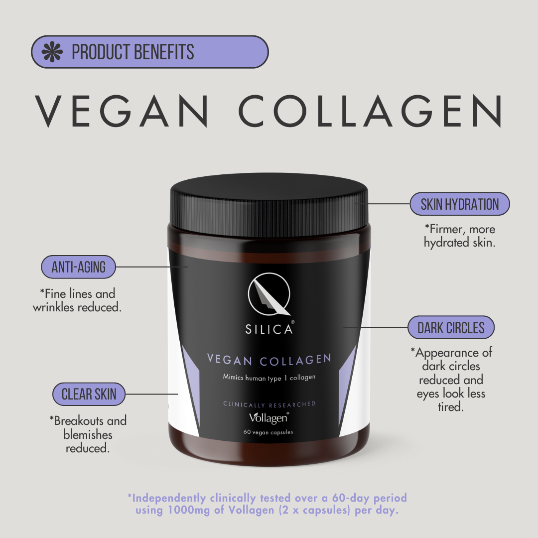 Vegan Collagen Powder 3-Month Supply
