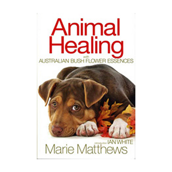 Animal Healing Book